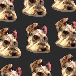 Meet your Posher, Erika